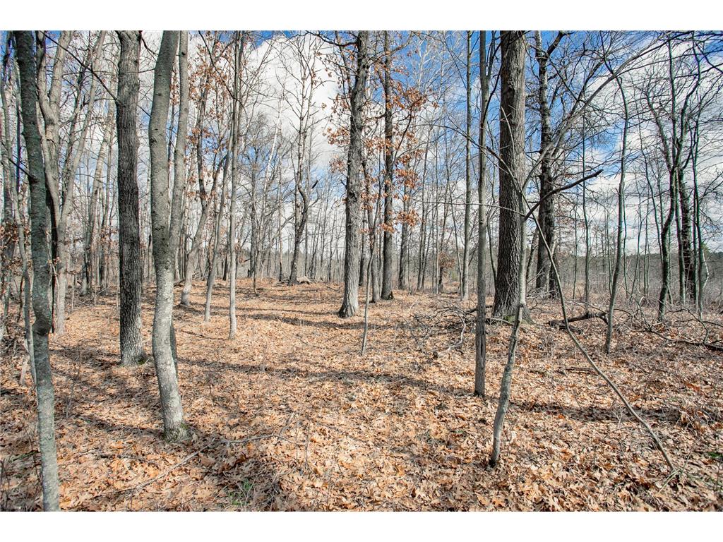 TBD OWL LAKE La Follette Twp WI 54872 - Owl 7032537 image2