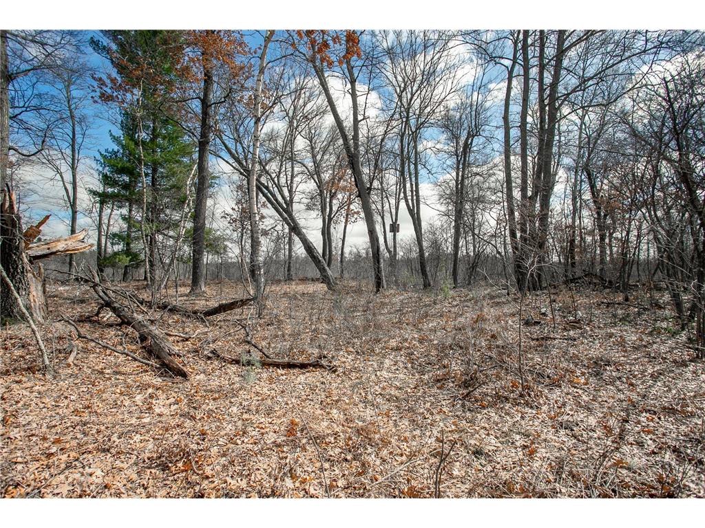 TBD OWL LAKE La Follette Twp WI 54872 - Owl 7032537 image3