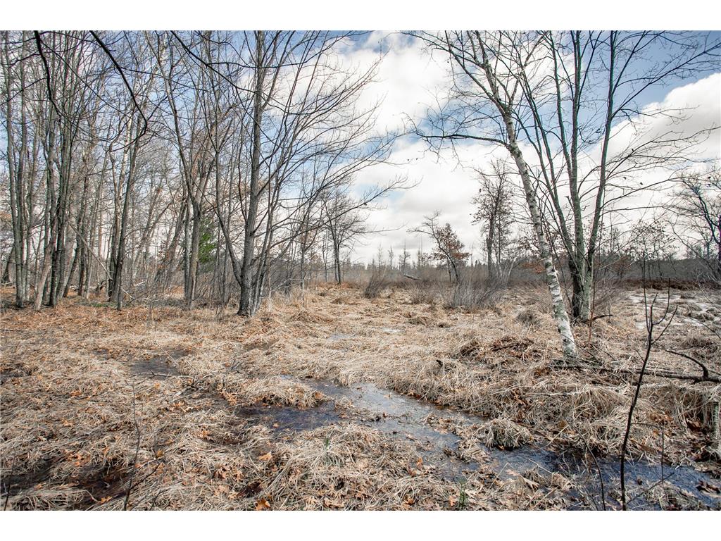 TBD OWL LAKE La Follette Twp WI 54872 - Owl 7032537 image5