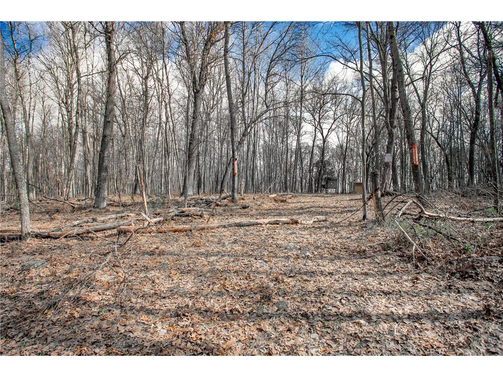 TBD OWL LAKE La Follette Twp WI 54872 - Owl 7032537 image7