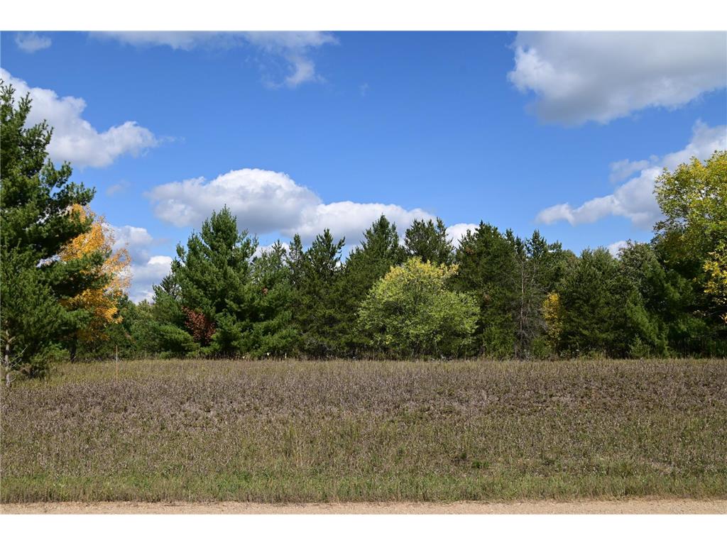 TBD Oak Drive Moran Twp MN 56438 - Pine Island 7034491 image1
