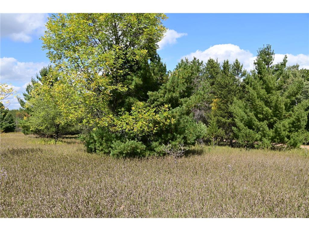 TBD Oak Drive Moran Twp MN 56438 - Pine Island 7034491 image10