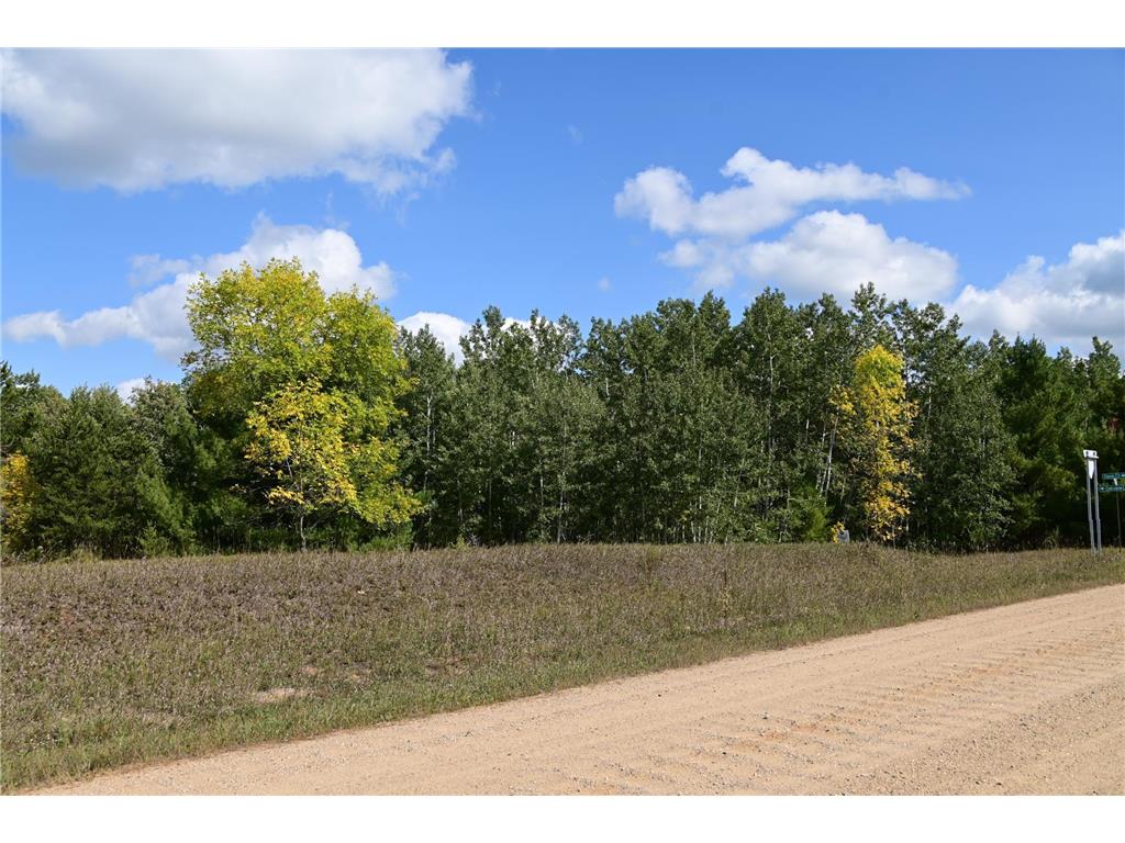 TBD Oak Drive Moran Twp MN 56438 - Pine Island 7034491 image11