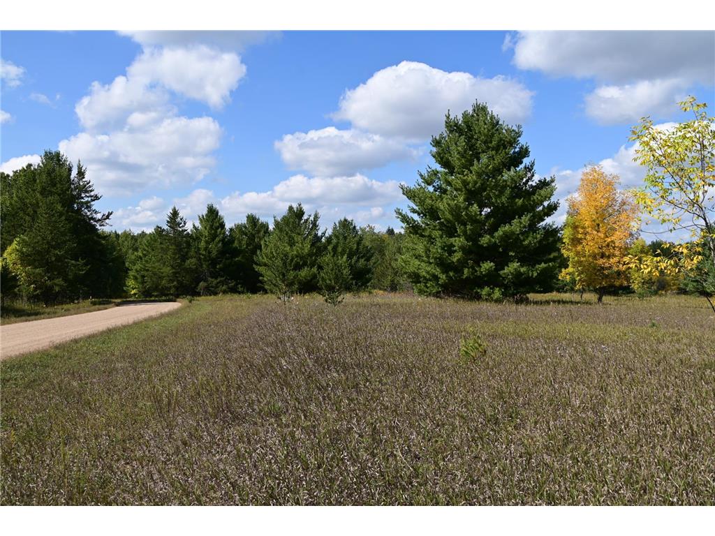 TBD Oak Drive Moran Twp MN 56438 - Pine Island 7034491 image12