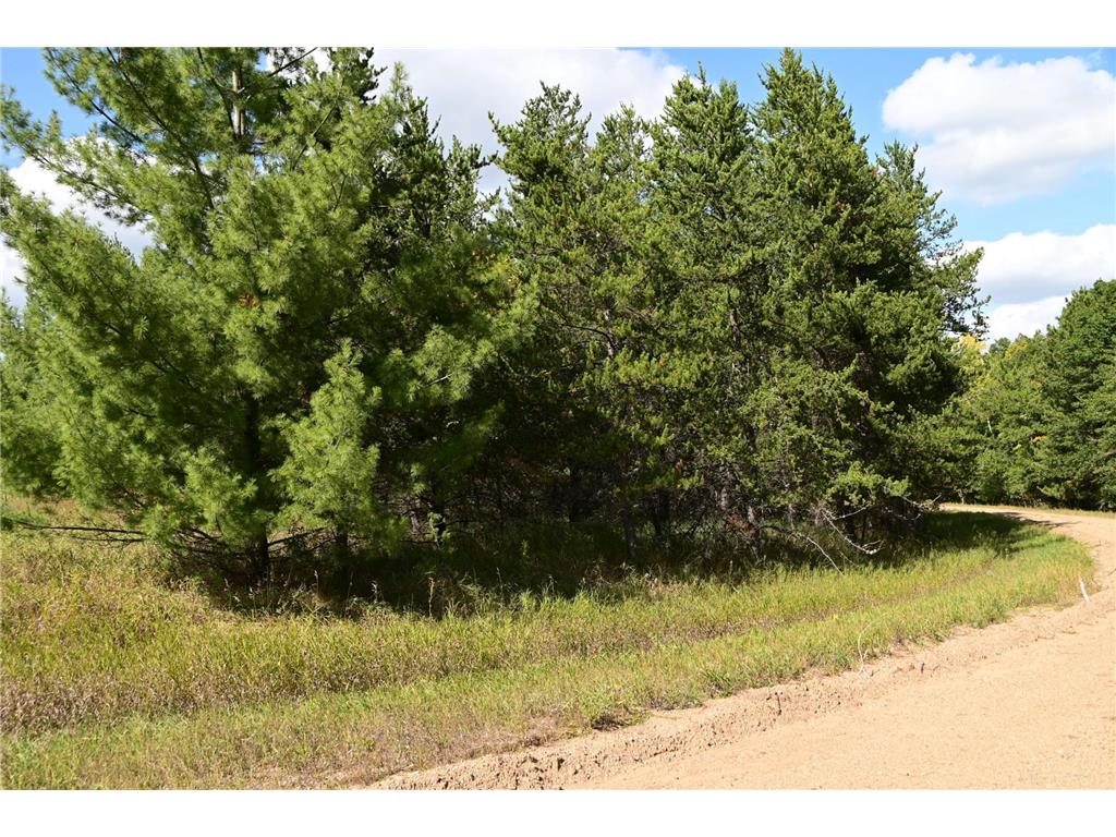 TBD Oak Drive Moran Twp MN 56438 - Pine Island 7034491 image13