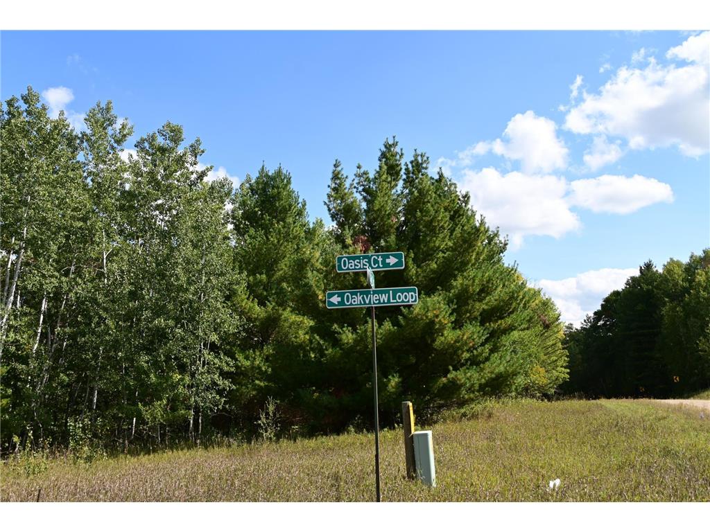 TBD Oak Drive Moran Twp MN 56438 - Pine Island 7034491 image16