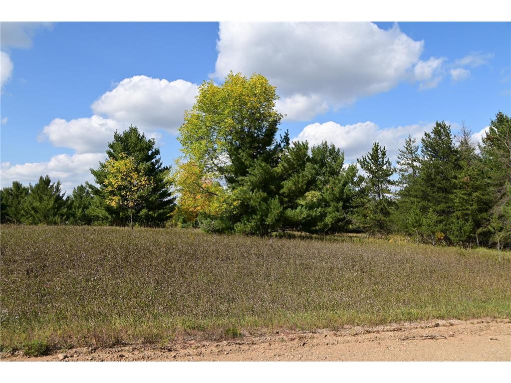 TBD Oak Drive Moran Twp MN 56438 - Pine Island 7034491 image3