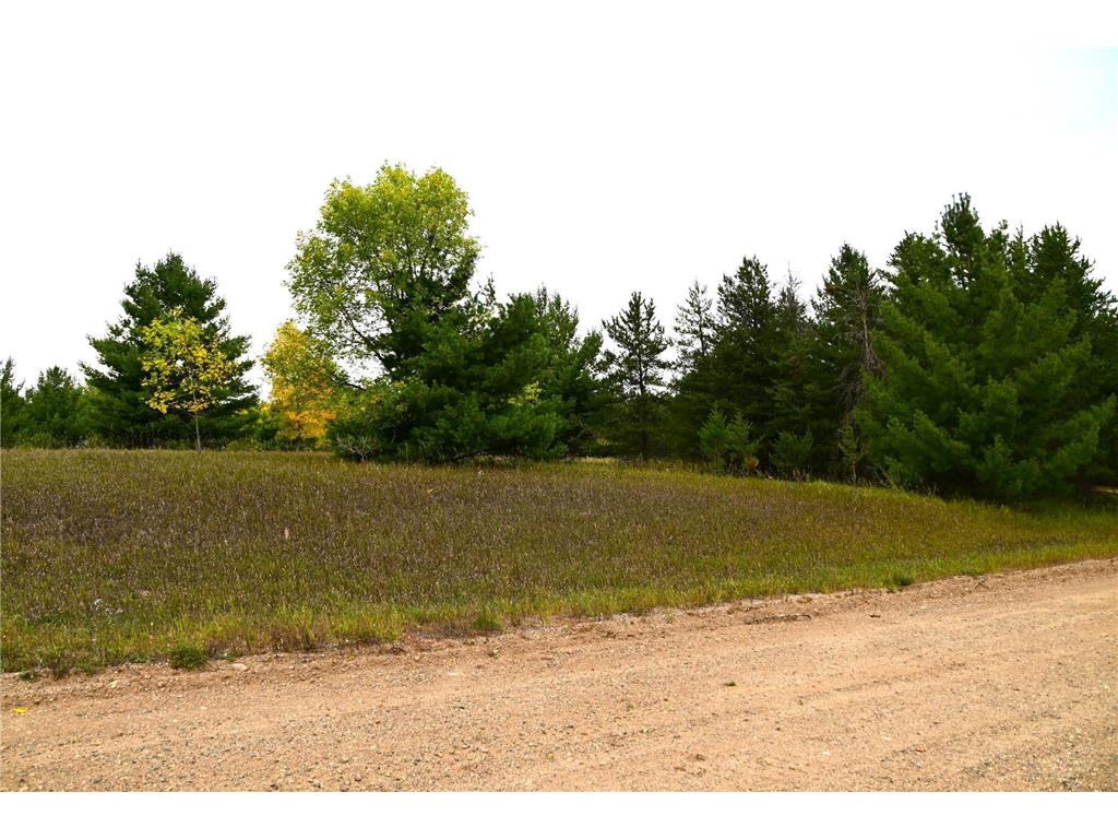 TBD Oak Drive Moran Twp MN 56438 - Pine Island 7034491 image4