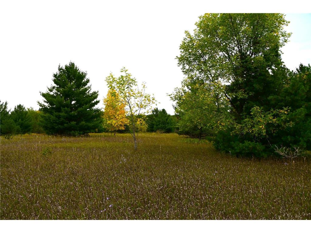 TBD Oak Drive Moran Twp MN 56438 - Pine Island 7034491 image5