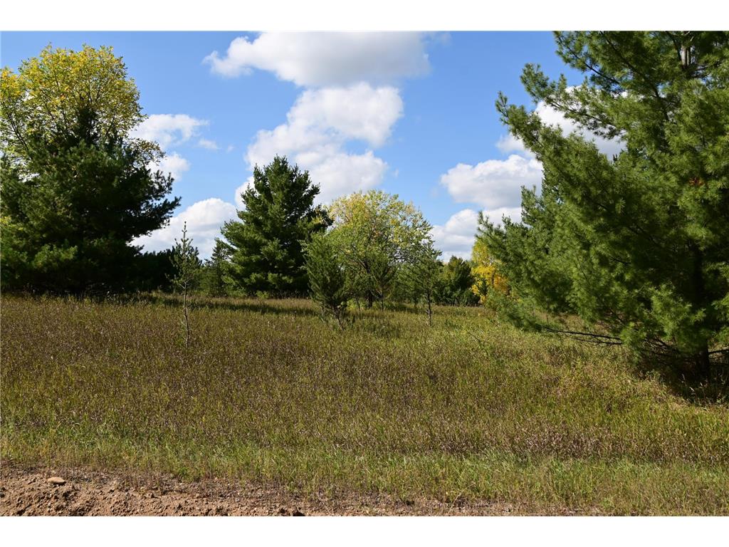 TBD Oak Drive Moran Twp MN 56438 - Pine Island 7034491 image6