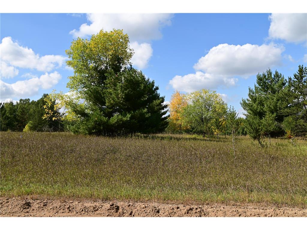 TBD Oak Drive Moran Twp MN 56438 - Pine Island 7034491 image7