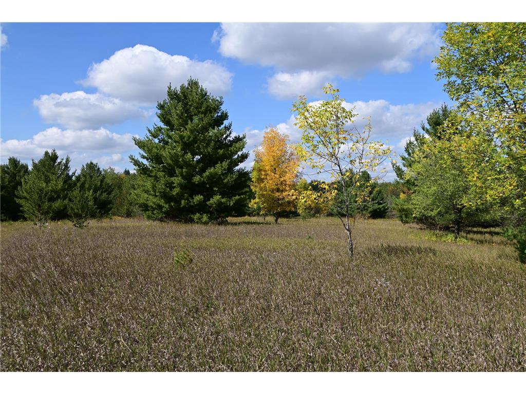 TBD Oak Drive Moran Twp MN 56438 - Pine Island 7034491 image9