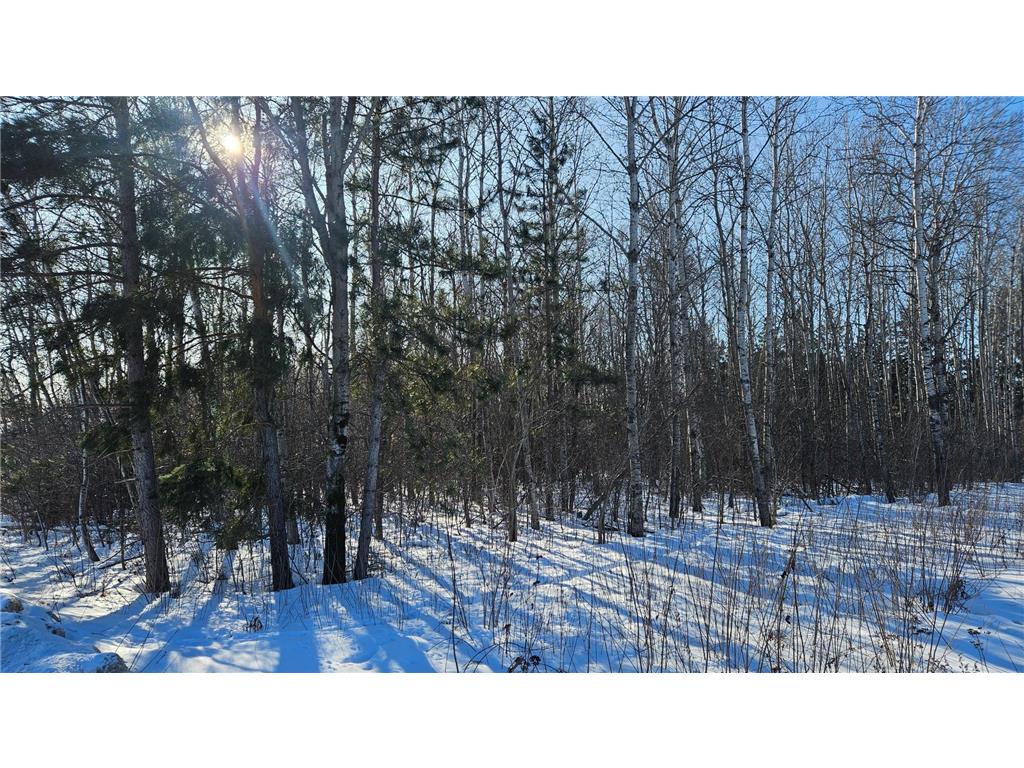 TBD Oak Street Brainerd MN 56401 7012466 image4