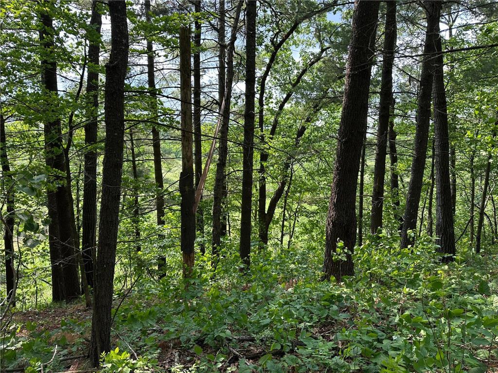 TBD Ode Circle Moran Twp MN 56438 - Long Prairie River 6735460 image10