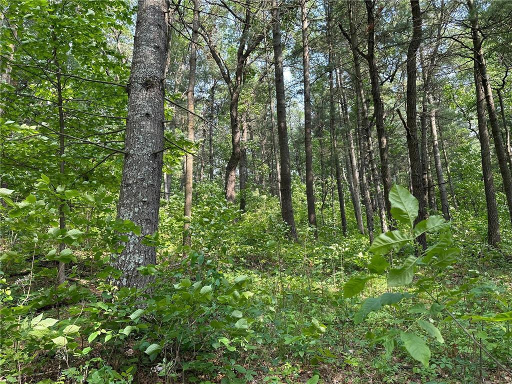 TBD Ode Circle Moran Twp MN 56438 - Long Prairie River 6735460 image11