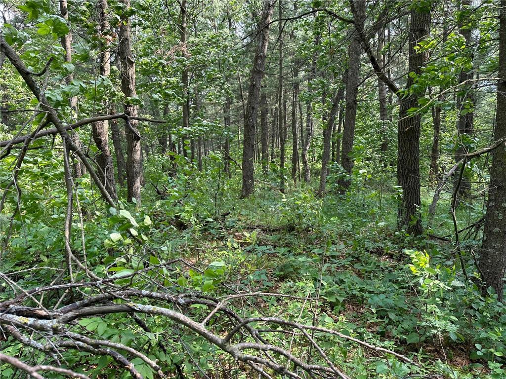 TBD Ode Circle Moran Twp MN 56438 - Long Prairie River 6735460 image12