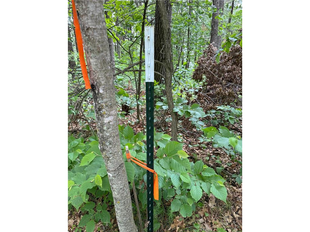 TBD Ode Circle Moran Twp MN 56438 - Long Prairie River 6735460 image5