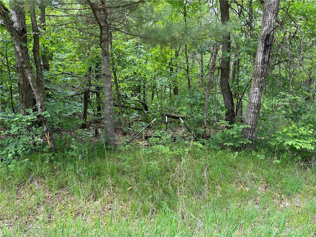 TBD Ode Circle Moran Twp MN 56438 - Long Prairie River 6735460 image6