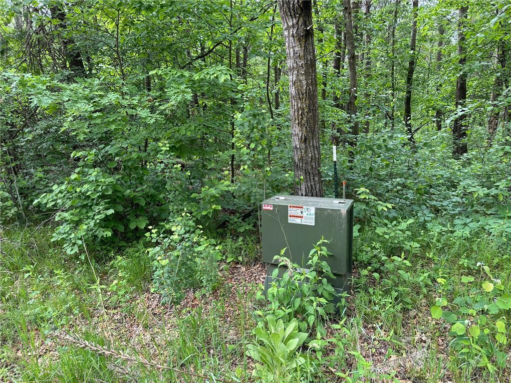 TBD Ode Circle Moran Twp MN 56438 - Long Prairie River 6735460 image7