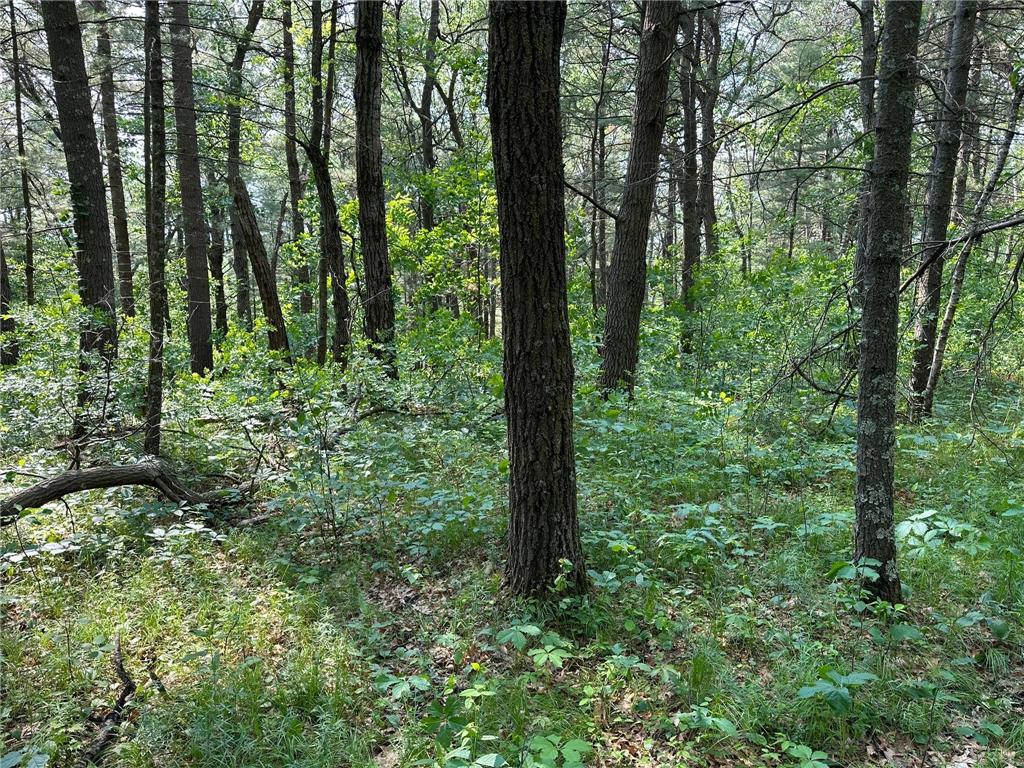 TBD Ode Circle Moran Twp MN 56438 - Long Prairie River 6735460 image8