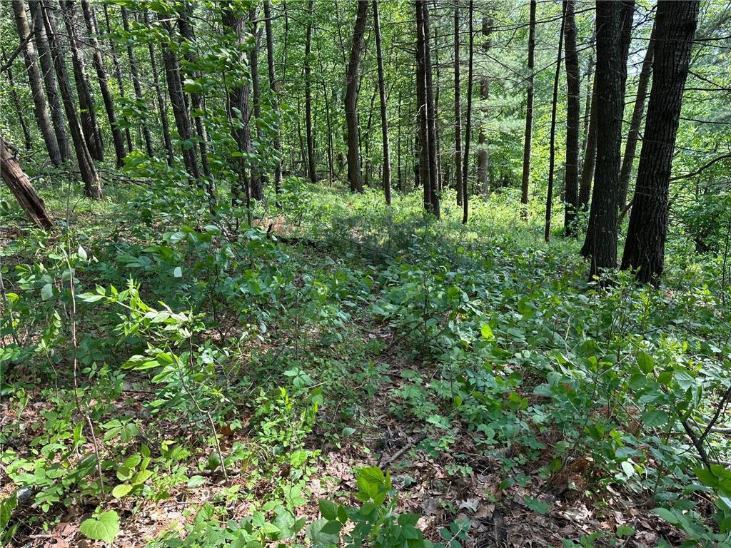 TBD Ode Circle Moran Twp MN 56438 - Long Prairie River 6735460 image9