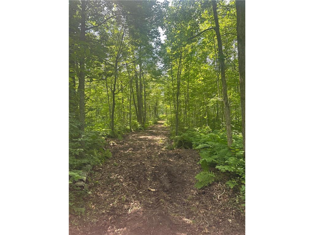 TBD Olander Road Emily MN 56447 6749161 image10