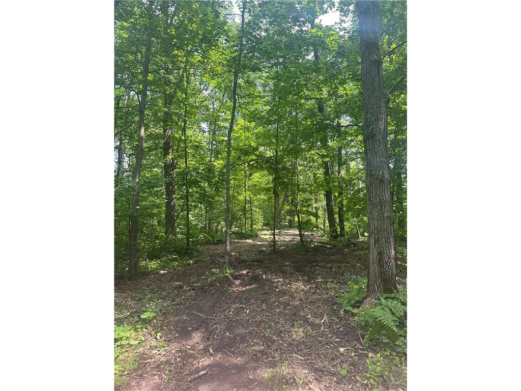 TBD Olander Road Emily MN 56447 6749161 image11