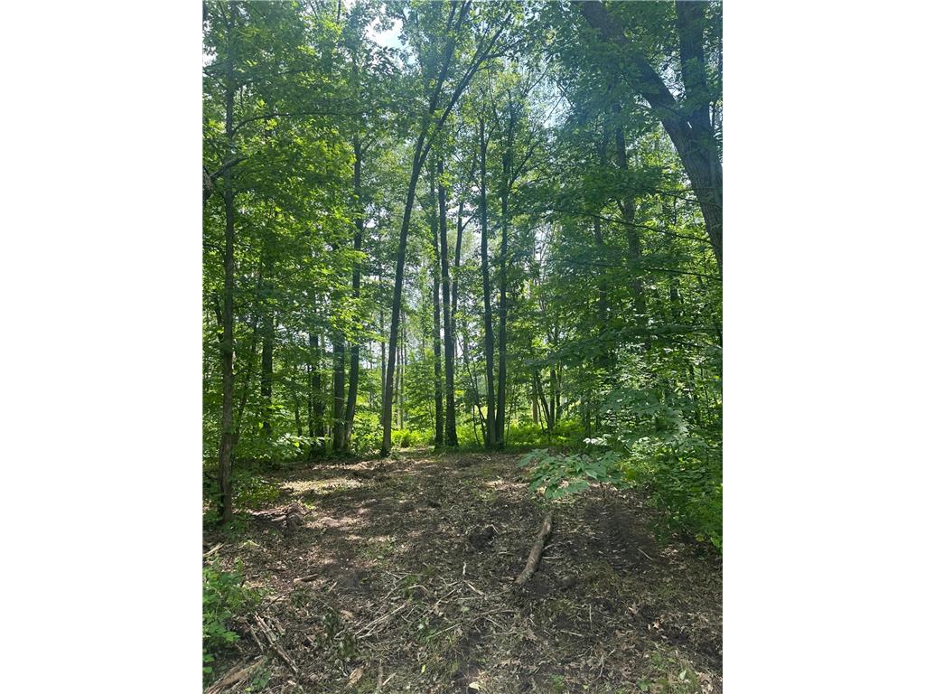 TBD Olander Road Emily MN 56447 6749161 image12