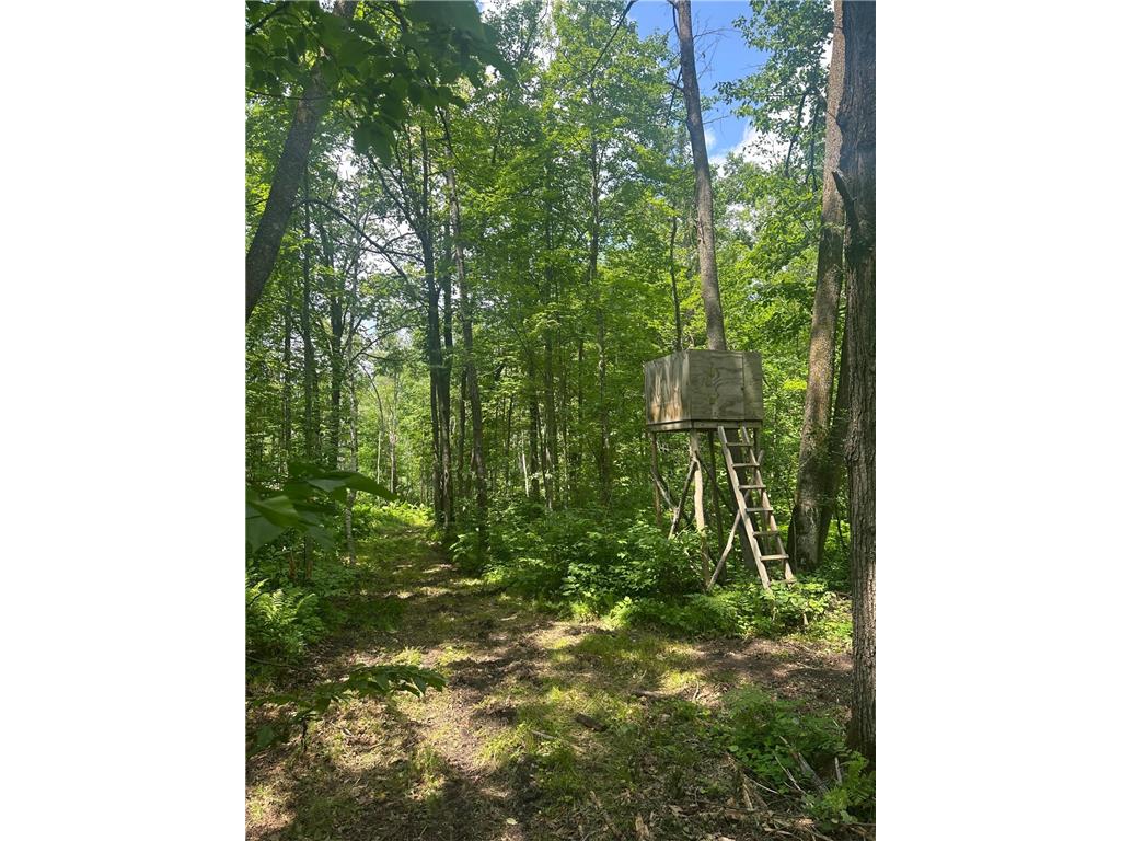 TBD Olander Road Emily MN 56447 6749161 image13