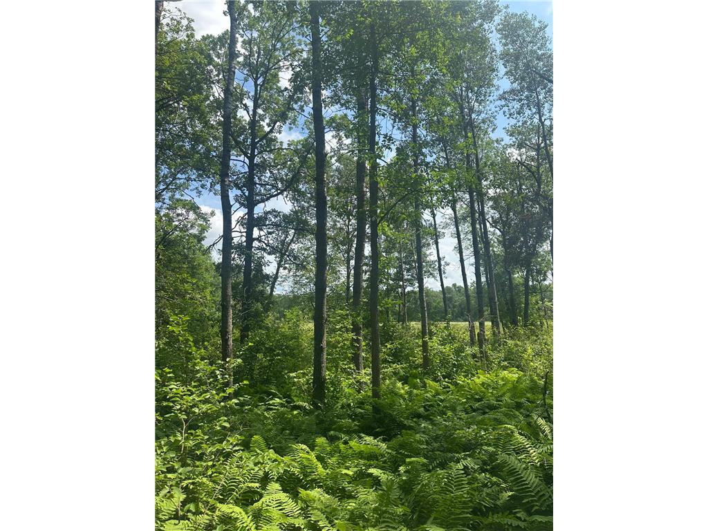 TBD Olander Road Emily MN 56447 6749161 image14