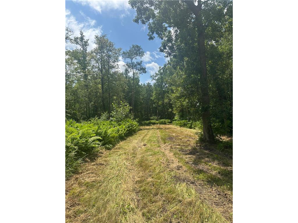 TBD Olander Road Emily MN 56447 6749161 image15