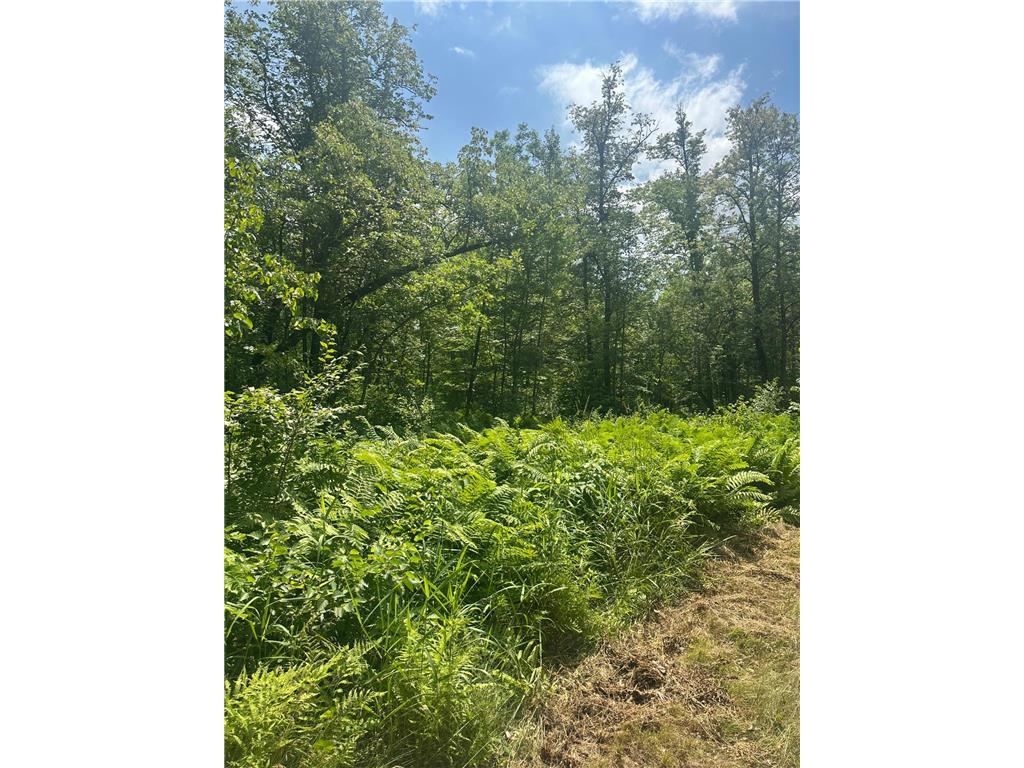 TBD Olander Road Emily MN 56447 6749161 image16