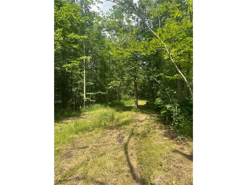 TBD Olander Road Emily MN 56447 6749161 image17
