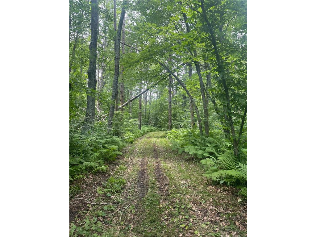 TBD Olander Road Emily MN 56447 6749161 image18