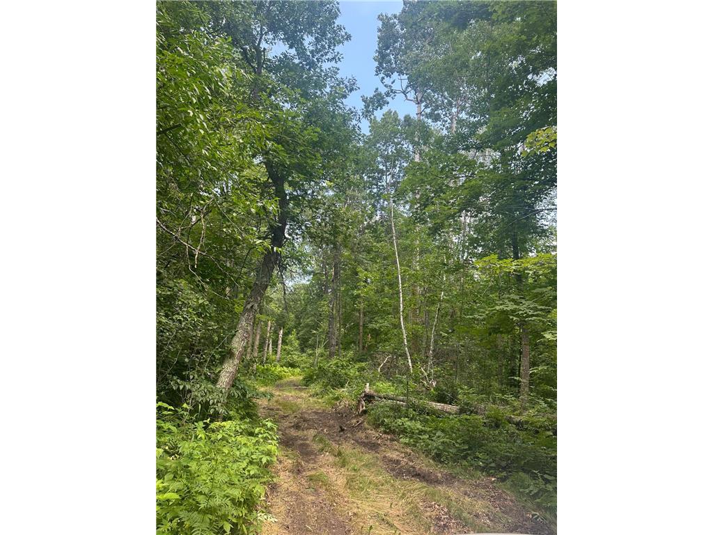 TBD Olander Road Emily MN 56447 6749161 image4