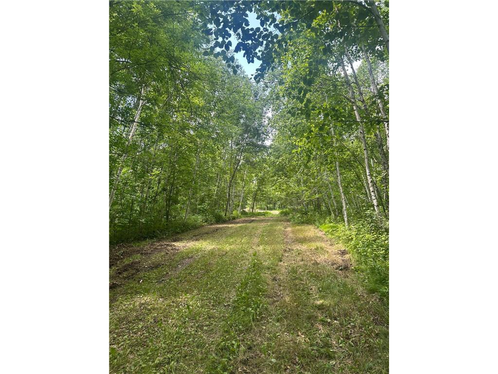 TBD Olander Road Emily MN 56447 6749161 image5