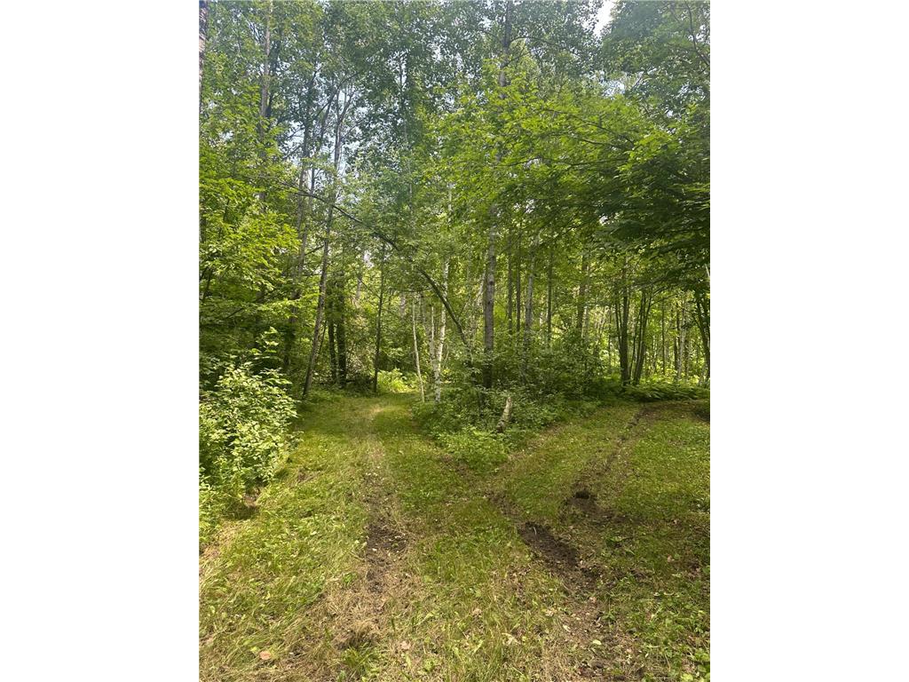 TBD Olander Road Emily MN 56447 6749161 image6