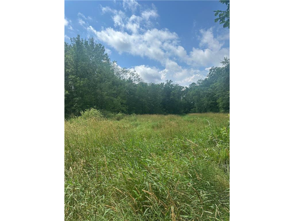 TBD Olander Road Emily MN 56447 6749161 image7