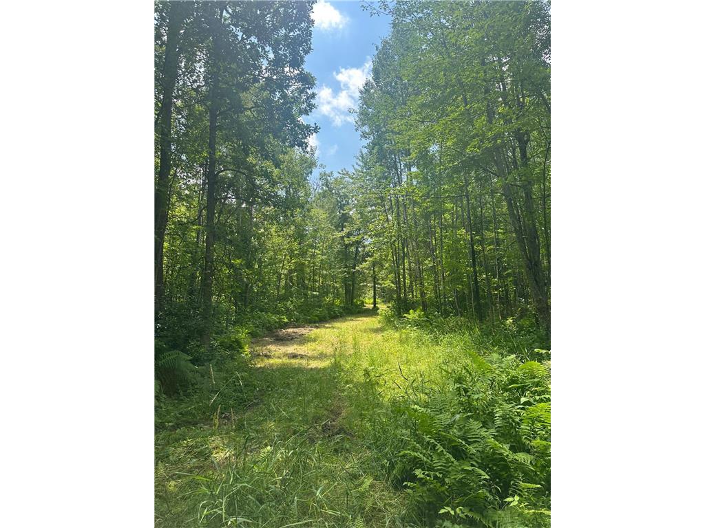 TBD Olander Road Emily MN 56447 6749161 image9