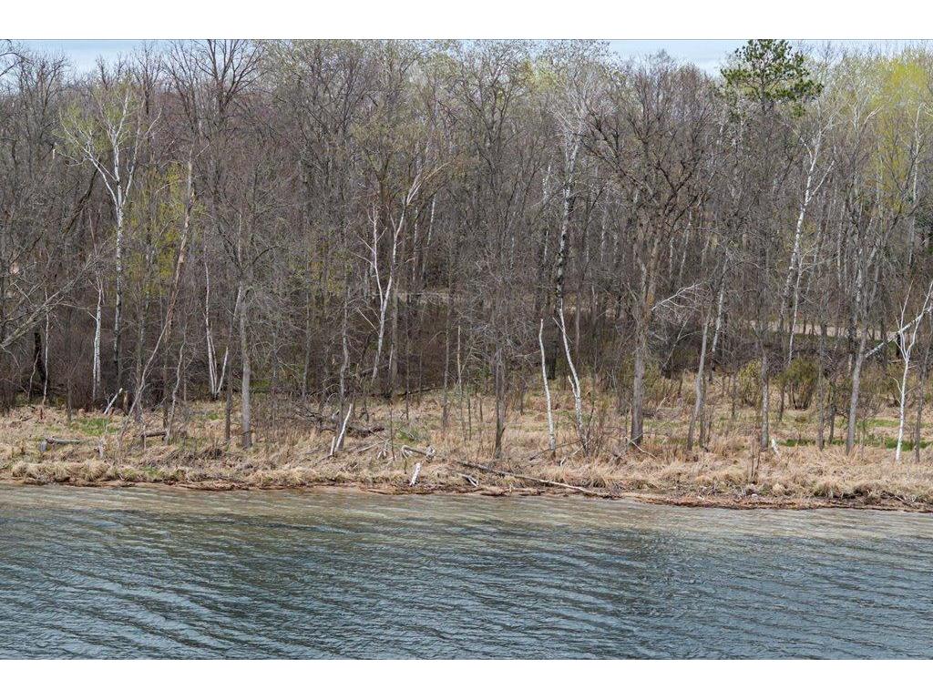 TBD Olander Road Fairfield Twp MN 56447 - Adney 7066348 image2