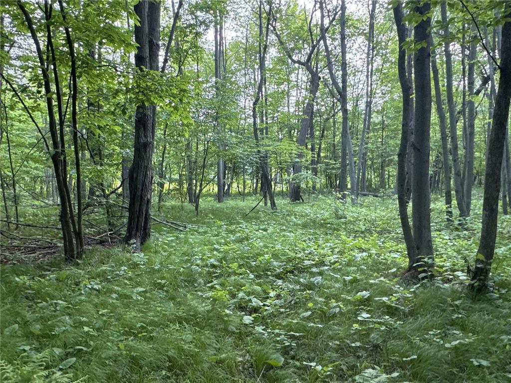 TBD Old 35 Bypass Siren WI 54872 6757463 image1