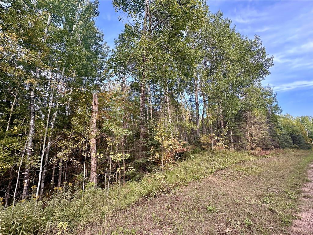 TBD Old Vermillion Trail Gnesen Twp MN 55803 6794826 image1
