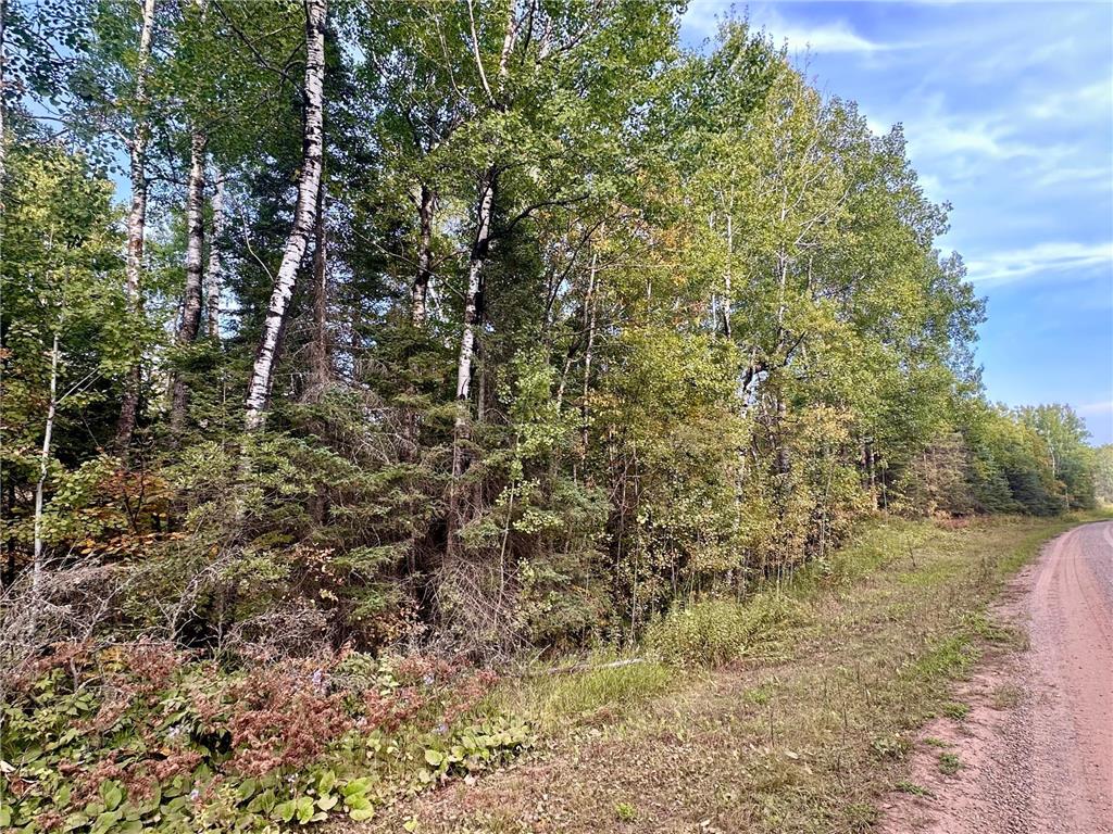 TBD Old Vermillion Trail Gnesen Twp MN 55803 6794826 image2