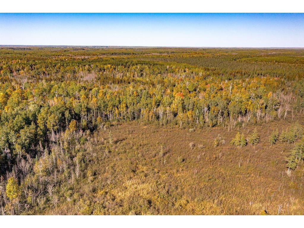 TBD Old Vermillion Trail Gnesen Twp MN 55803 6794826 image20