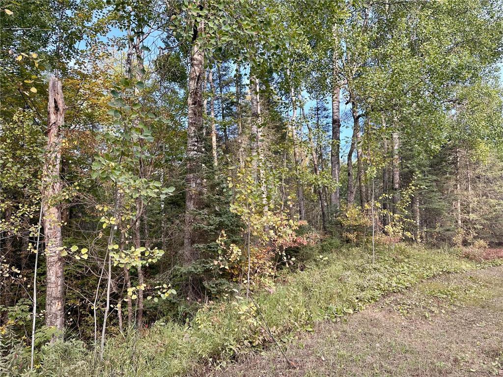 TBD Old Vermillion Trail Gnesen Twp MN 55803 6794826 image7