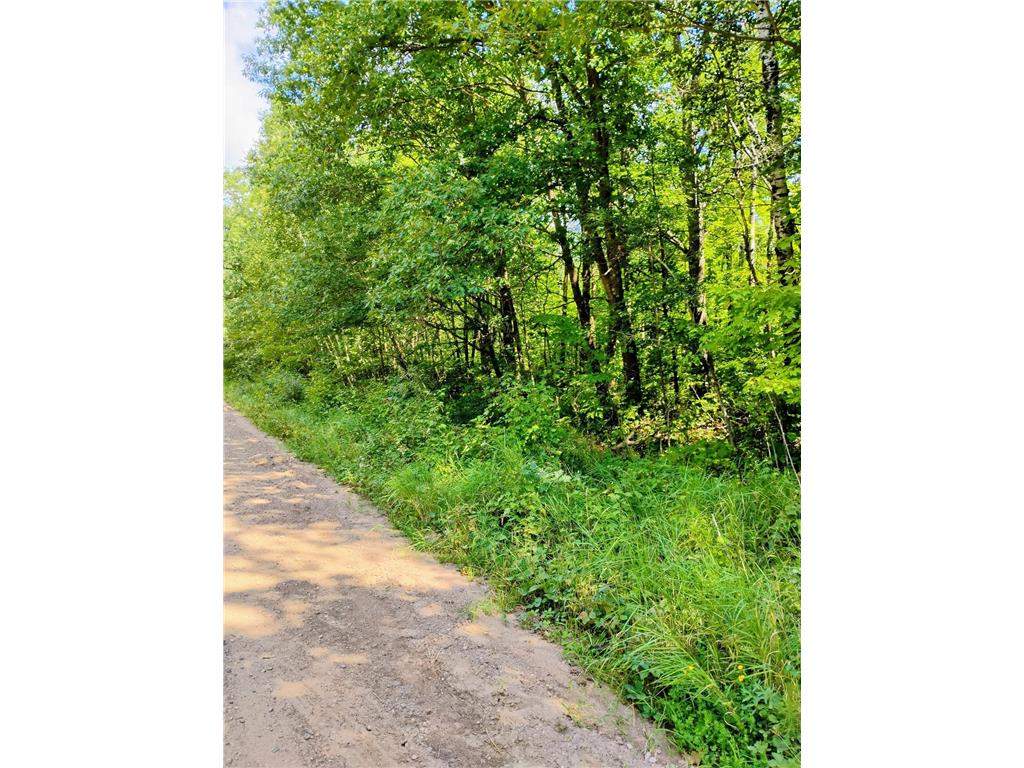 TBD Olson Road Dell Grove Twp MN 55037 6784886 image1