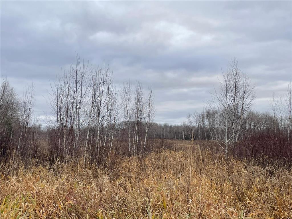 TBD Olson Road Hinckley MN 55037 6820986 image2