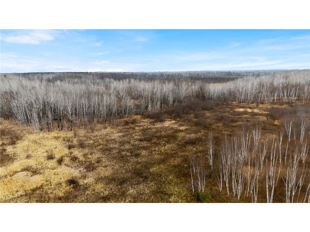 TBD Olson Road Hinckley MN 55037 6820986 image28