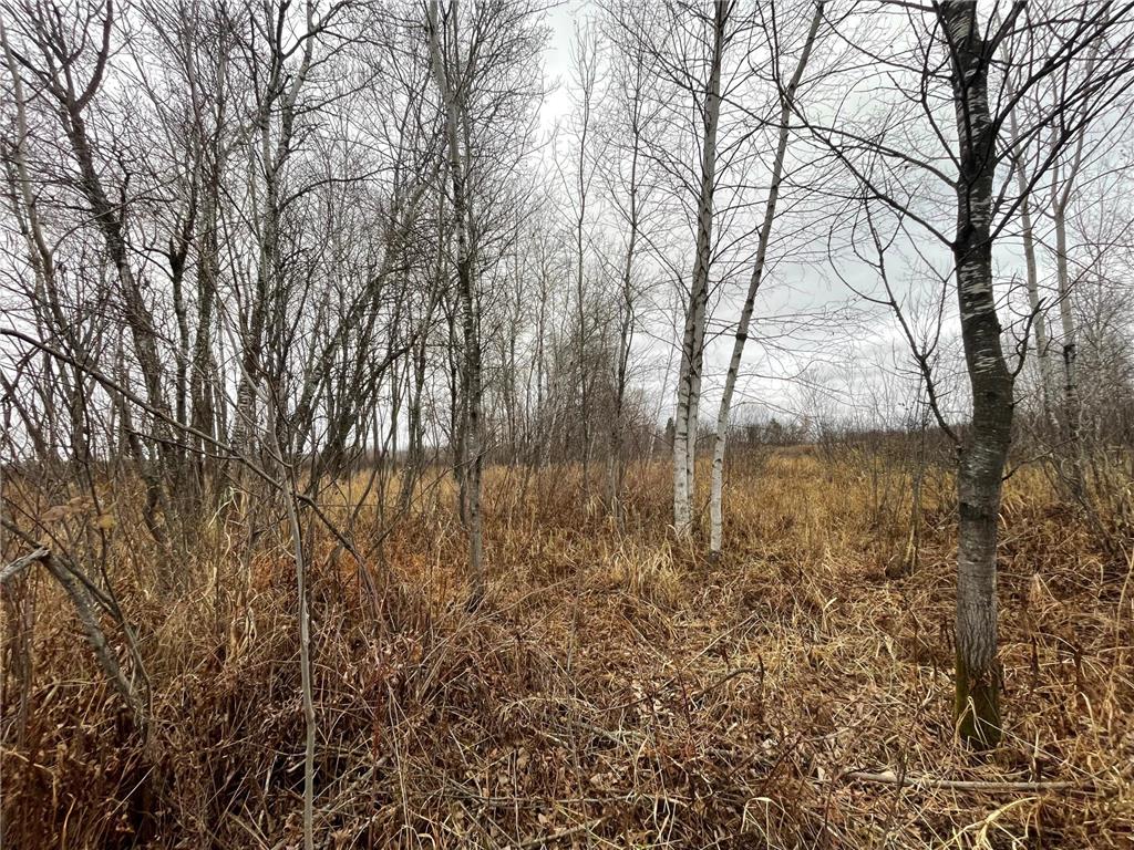 TBD Olson Road Hinckley MN 55037 6820986 image6