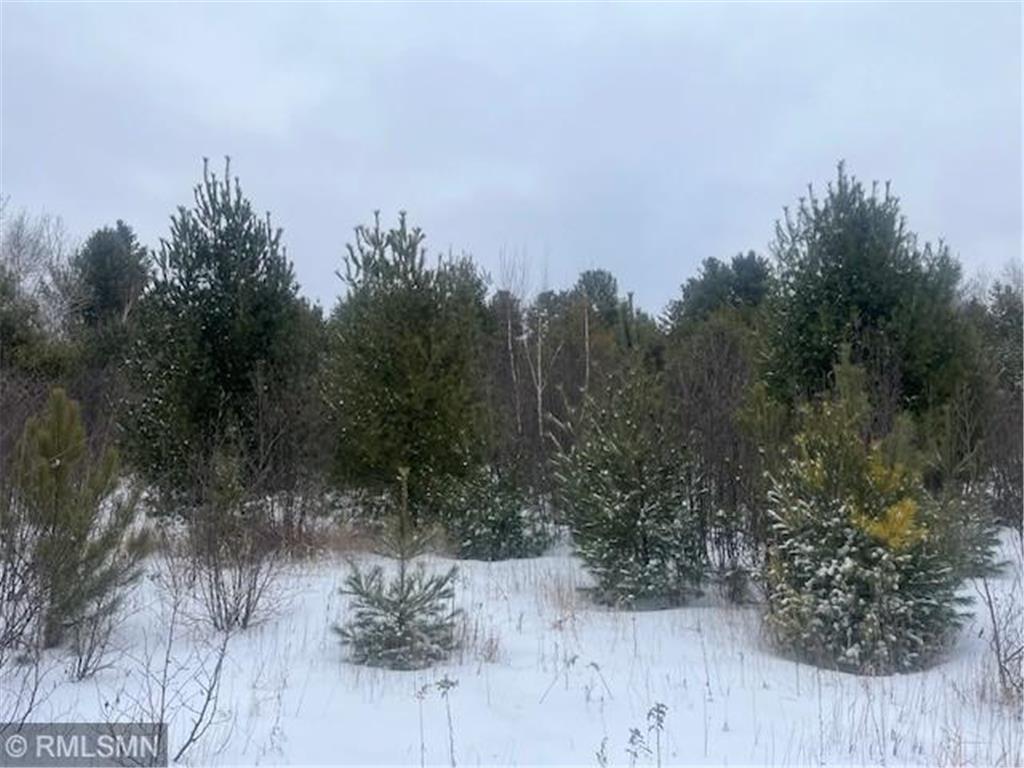 TBD Onigum Road NW Walker MN 56484 6656099 image1